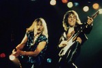 scorpions-47071.jpg