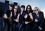 scorpions-86354.jpg