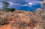 afrika-761.jpg