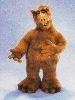 alf-5897.jpg