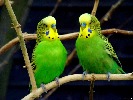 andulky-3765.jpg