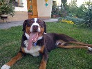 beethoven-6622.jpg