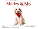 marley-a-ja-2935.jpg