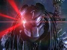 predator-2656.jpg