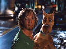 shaggy-a-scooby-doo-3459.jpg