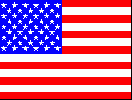 usa-x-forever-x-236.gif