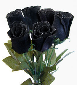 SchwarzRosen