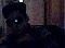 DNBDS16