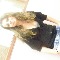 Andrea1234
