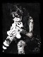 tera666