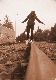 Anuska005