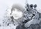NikolkaP