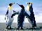 AleX_ander