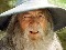 Barbossa