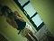 caroline15