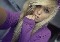 sabina420