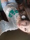 Nikushka01