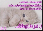 honzahh-276992.jpg