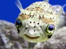 honzahh-281049.jpg