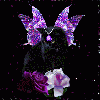 honzahh-284892.gif
