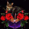 honzahh-284894.gif
