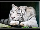 honzahh-367505.jpg