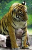 honzahh-367681.jpg