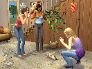 honzahh-379196.jpg