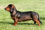 honzahh-379232.jpg