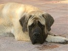 honzahh-379263.jpg