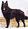 honzahh-379742.jpg
