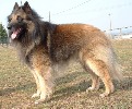 honzahh-379751.jpg