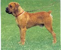 honzahh-379803.jpg