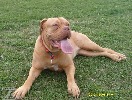 honzahh-379810.jpg