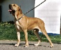 honzahh-379824.jpg