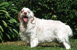 honzahh-388031.jpg