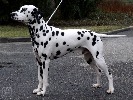 honzahh-388054.jpg
