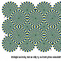 tedy-270815.jpg