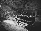 dianss-567745.jpg