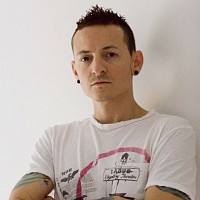 lamprophis-415350.jpg