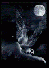 keksi-329957.gif