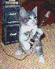 keksi-662264.gif