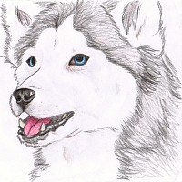 gregsie-380384.jpg