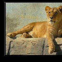 luca-394737.jpg
