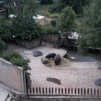 luca-394878.jpg