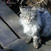 luca-395329.jpg