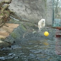 luca-395332.jpg