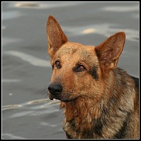 luca-395717.jpg
