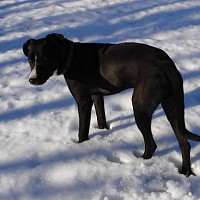 luca-395722.jpg