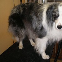luca-395724.jpg